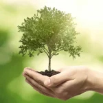 How Effective Marketing Strategies Boost Tree Service Companies' Growth