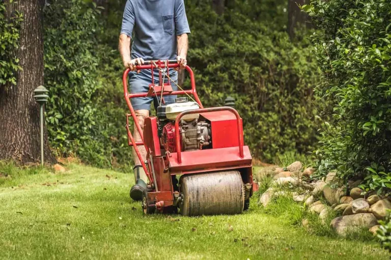 Lawn Care Services