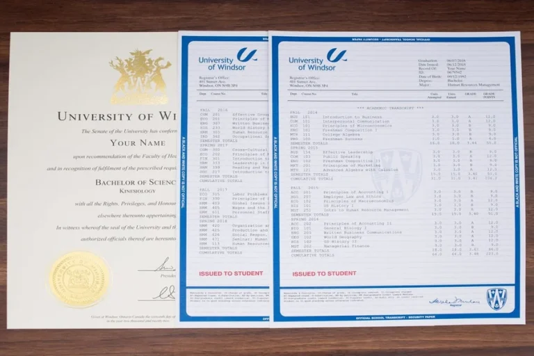 Simple Ways to Rebuild Missing Academic Records Records