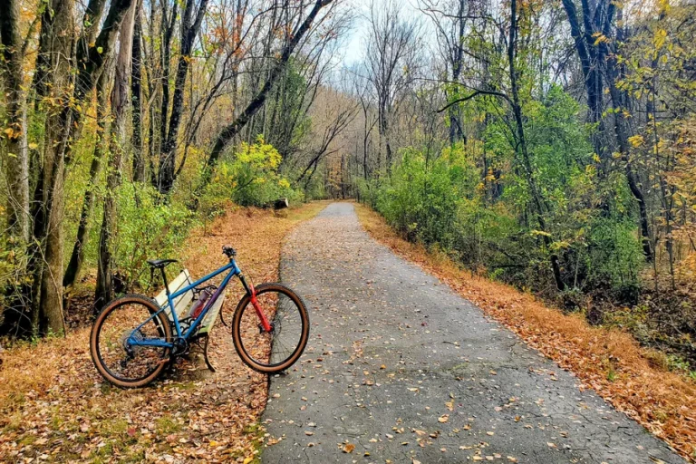 More Americans Are Choosing to Bike But the Roads Are Becoming More Dangerous More Americans Are Choosing to Bike But the Roads Are Becoming More Dangerous